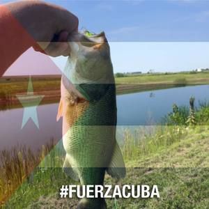 Meet your Posher, Evan